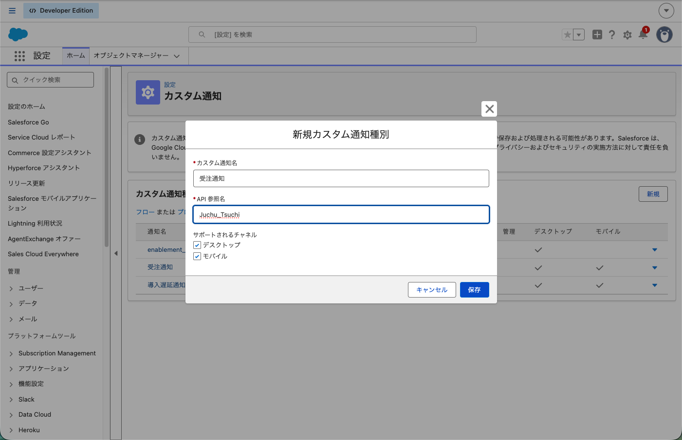 「新規カスタム通知種別」。カスタム通知名・API 参照名・サポートされるチャネルを入れたところ