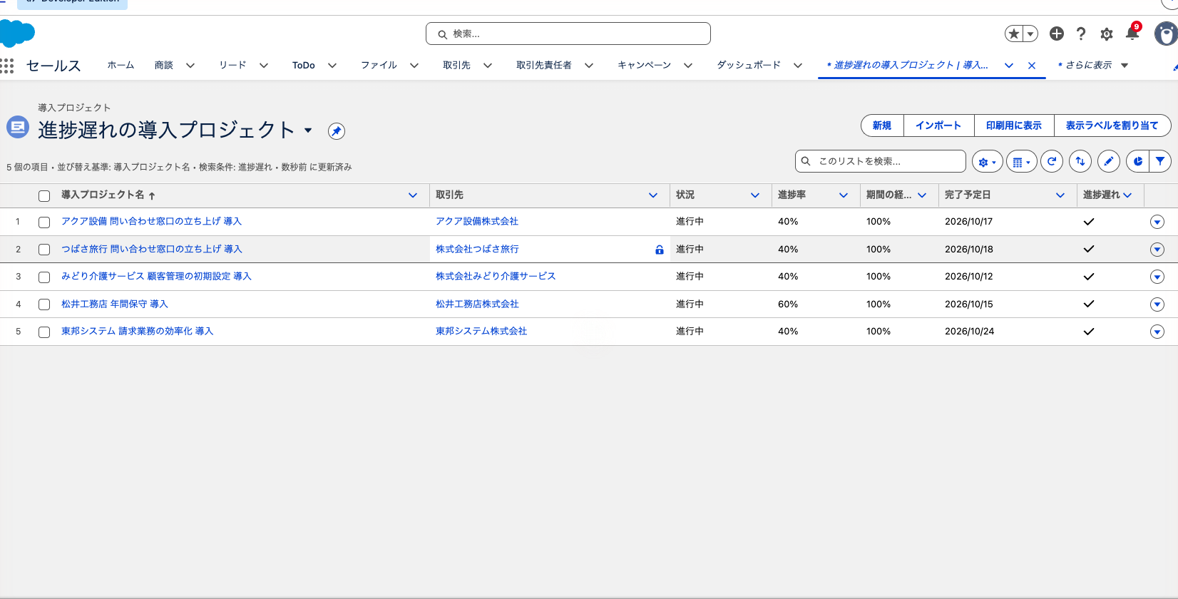 導入プロジェクトの一覧ビュー。進捗遅れにチェックが付いた行だけが並んでいる