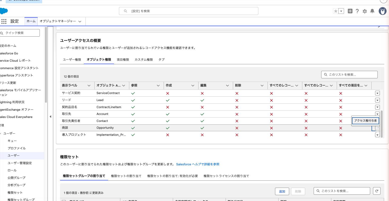 営業担当のユーザーアクセスの概要。オブジェクト権限タブと「アクセス権付与者」の表示