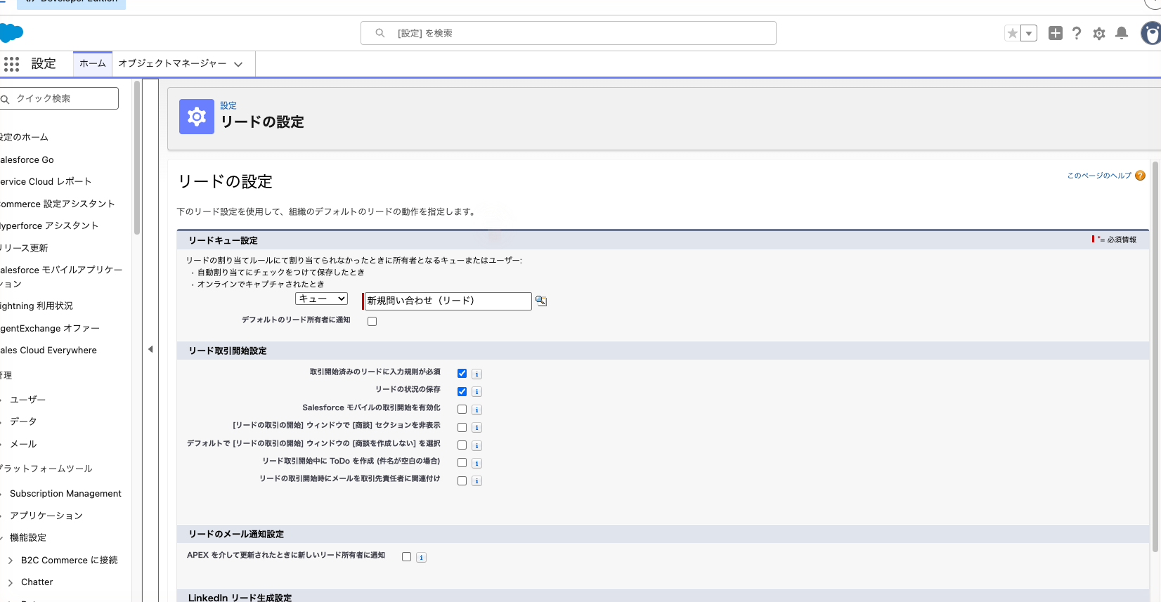 リードの設定の編集画面。デフォルトのリード所有者にキューを指定した状態