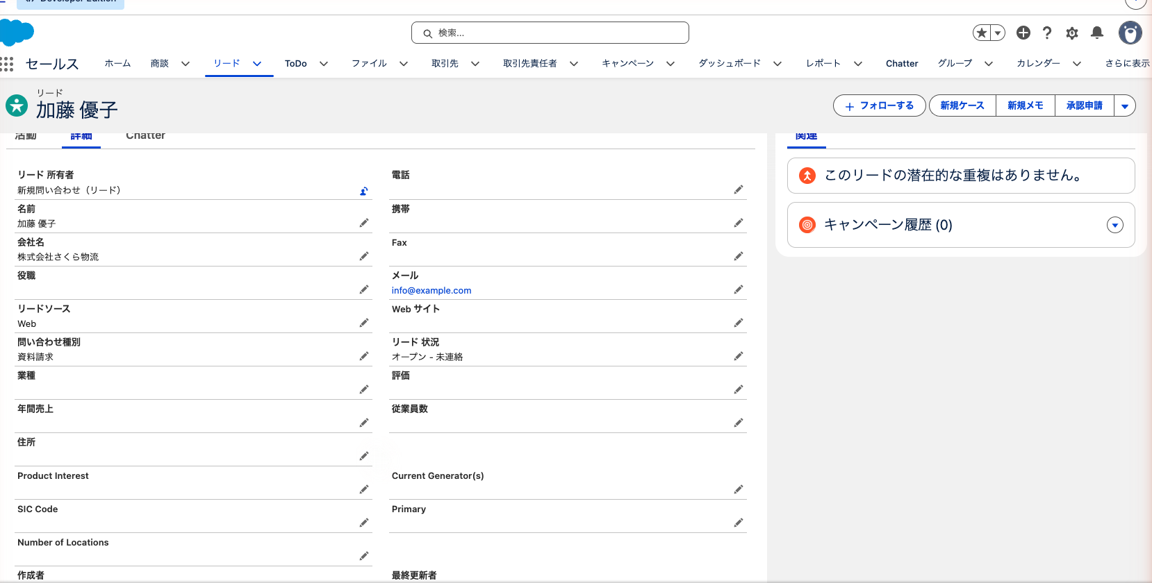 テスト送信で作られたリードの詳細。所有者がキュー、リードソースが Web になっている