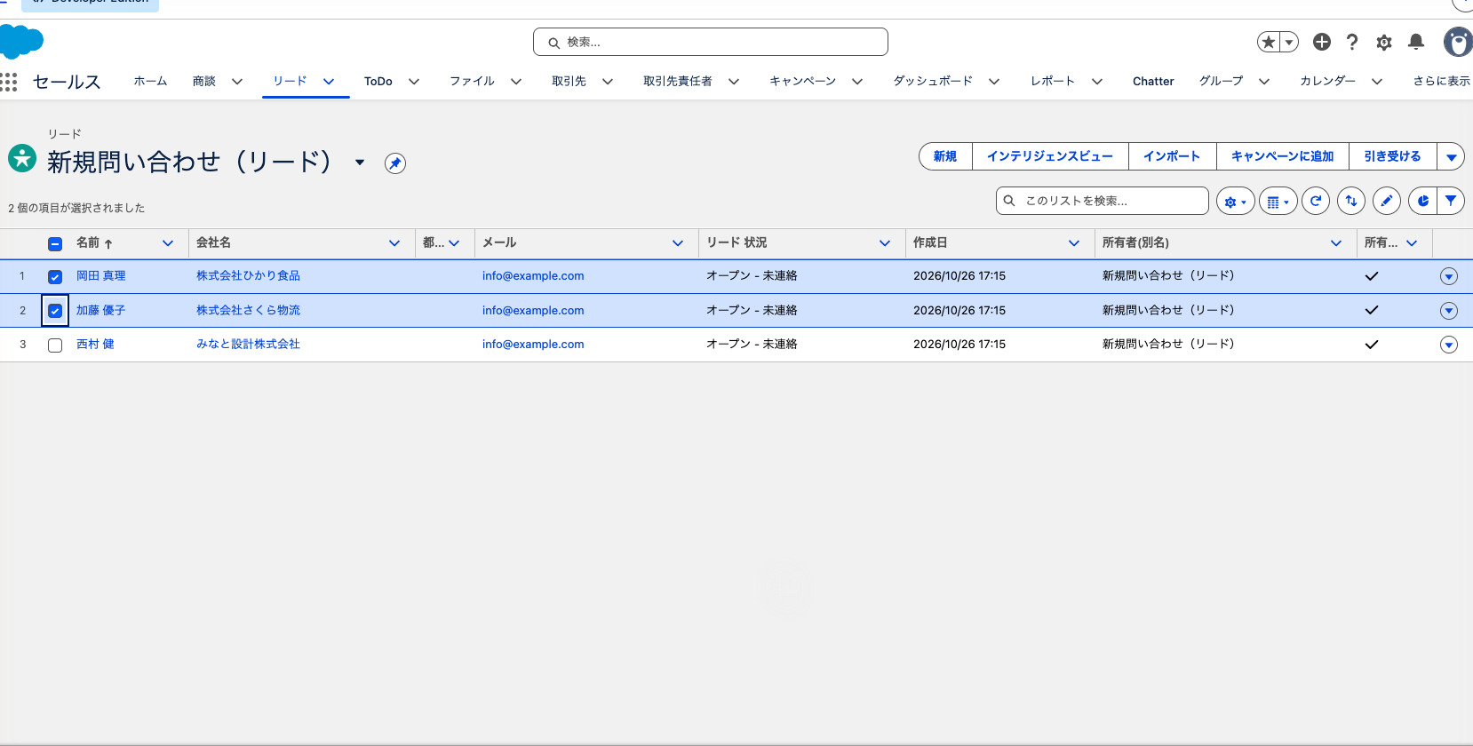 リストビュー「新規問い合わせ(リード)」で2件にチェックを入れた状態